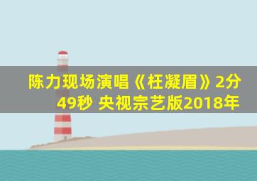 陈力现场演唱《枉凝眉》2分49秒 央视宗艺版2018年